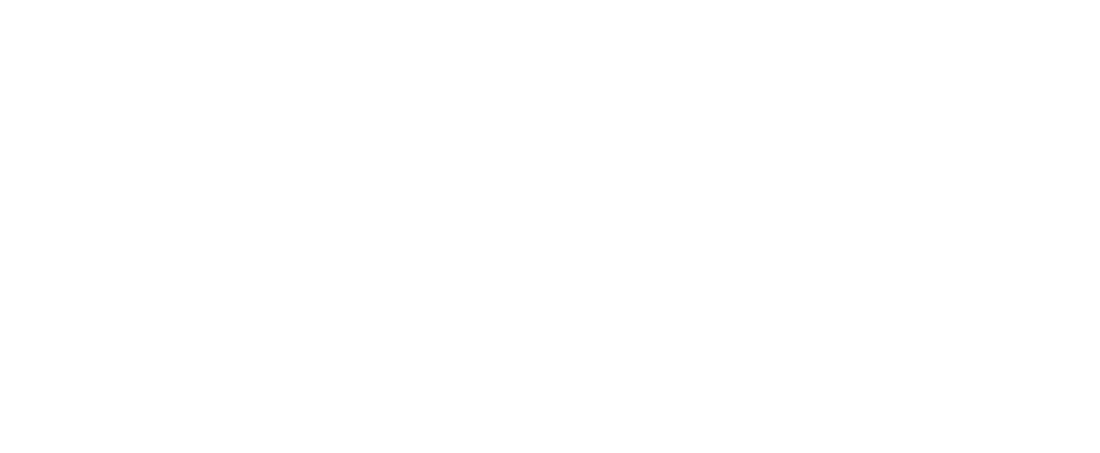 Edify Excellence Academy